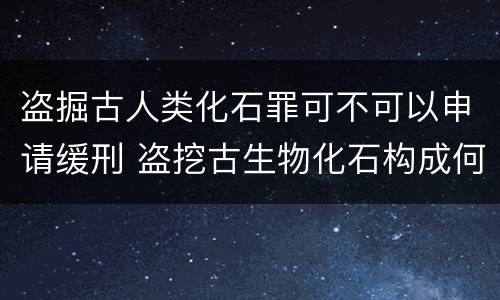 盗掘古人类化石罪可不可以申请缓刑 盗挖古生物化石构成何罪
