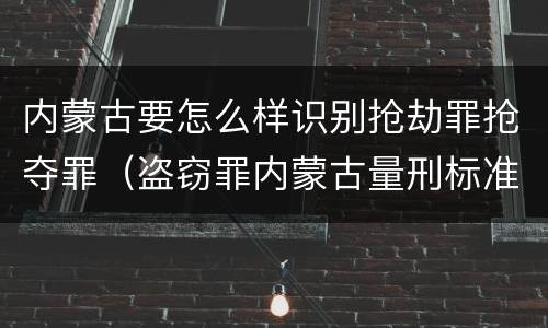 内蒙古要怎么样识别抢劫罪抢夺罪（盗窃罪内蒙古量刑标准）