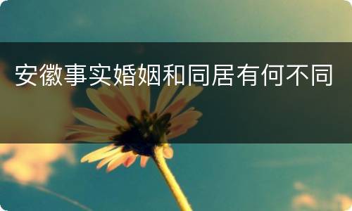安徽事实婚姻和同居有何不同