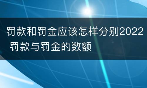 罚款和罚金应该怎样分别2022 罚款与罚金的数额