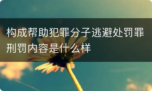 构成帮助犯罪分子逃避处罚罪刑罚内容是什么样