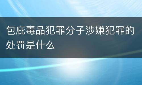 包庇毒品犯罪分子涉嫌犯罪的处罚是什么