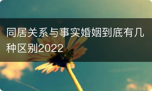 同居关系与事实婚姻到底有几种区别2022