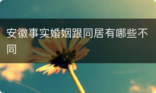 安徽事实婚姻跟同居有哪些不同