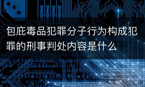 包庇毒品犯罪分子行为构成犯罪的刑事判处内容是什么