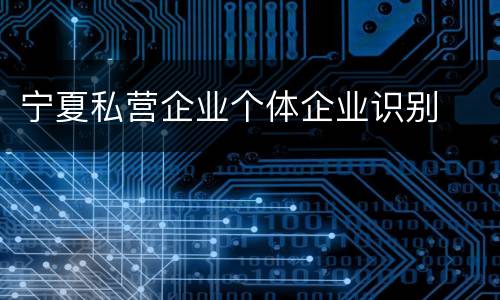 宁夏私营企业个体企业识别