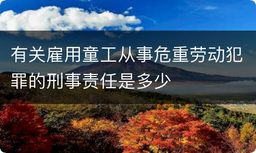有关雇用童工从事危重劳动犯罪的刑事责任是多少