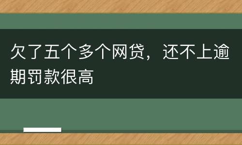 欠了五个多个网贷，还不上逾期罚款很高