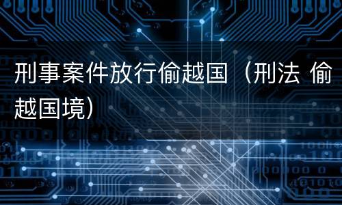 刑事案件放行偷越国（刑法 偷越国境）