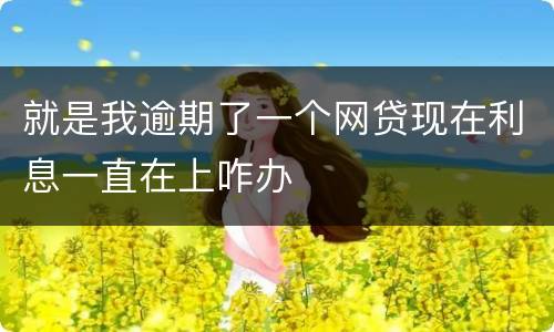 就是我逾期了一个网贷现在利息一直在上咋办
