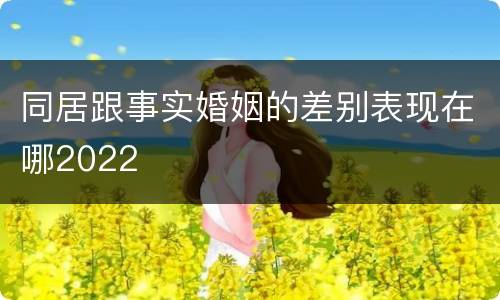 同居跟事实婚姻的差别表现在哪2022