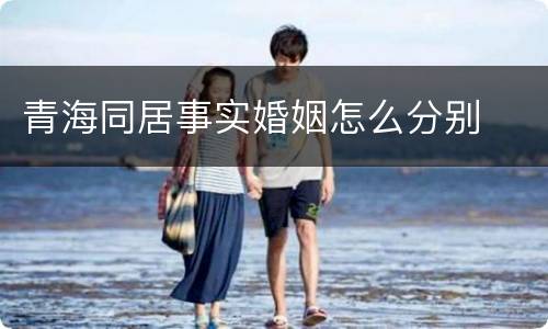 青海同居事实婚姻怎么分别