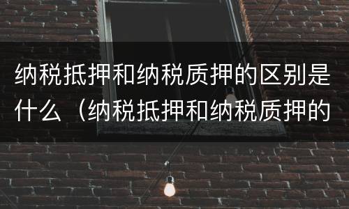 纳税抵押和纳税质押的区别是什么（纳税抵押和纳税质押的关系）