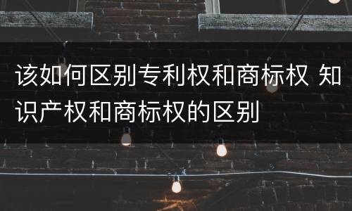 该如何区别专利权和商标权 知识产权和商标权的区别