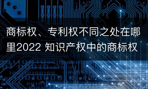 商标权、专利权不同之处在哪里2022 知识产权中的商标权