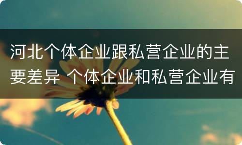 河北个体企业跟私营企业的主要差异 个体企业和私营企业有什么区别