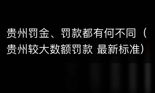 贵州罚金、罚款都有何不同(贵州较大数额罚款 最新标准)