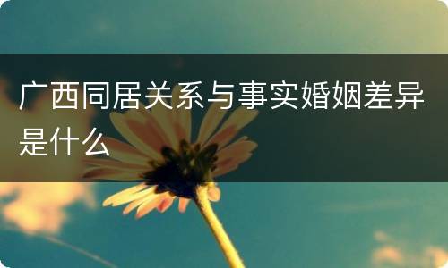 广西同居关系与事实婚姻差异是什么