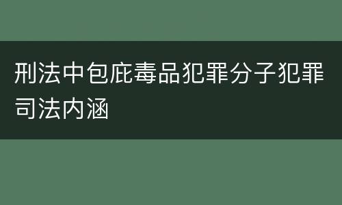 刑法中包庇毒品犯罪分子犯罪司法内涵