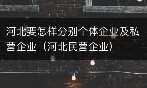 河北要怎样分别个体企业及私营企业（河北民营企业）