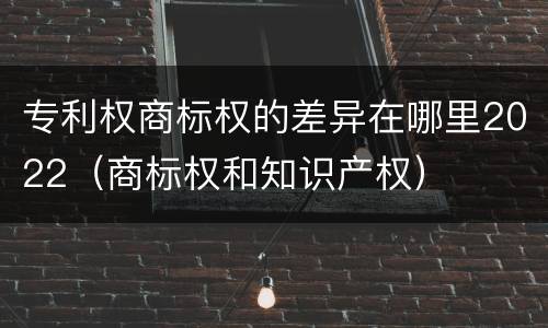 专利权商标权的差异在哪里2022（商标权和知识产权）
