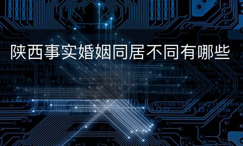 陕西事实婚姻同居不同有哪些
