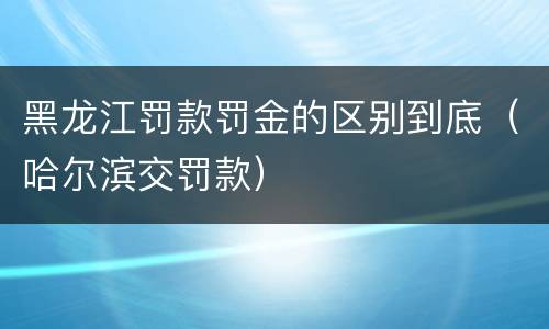 黑龙江罚款罚金的区别到底（哈尔滨交罚款）