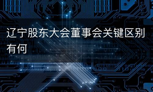 辽宁股东大会董事会关键区别有何