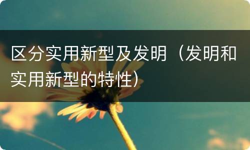 区分实用新型及发明（发明和实用新型的特性）