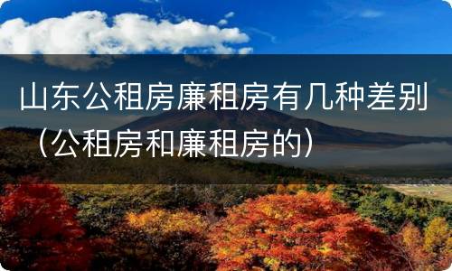 山东公租房廉租房有几种差别（公租房和廉租房的）