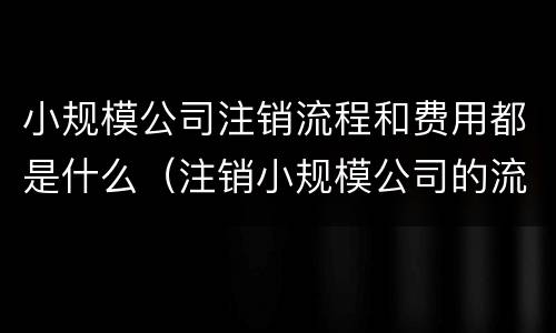 小规模公司注销流程和费用都是什么（注销小规模公司的流程是什么,具体一点）