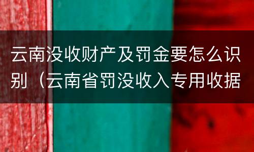 云南没收财产及罚金要怎么识别（云南省罚没收入专用收据）
