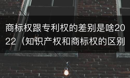 商标权跟专利权的差别是啥2022（知识产权和商标权的区别）
