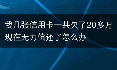 我几张信用卡一共欠了20多万现在无力偿还了怎么办