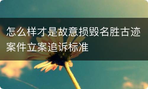 怎么样才是故意损毁名胜古迹案件立案追诉标准