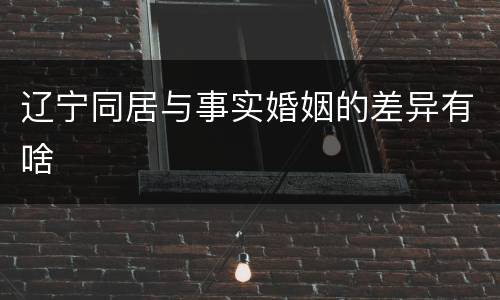 辽宁同居与事实婚姻的差异有啥