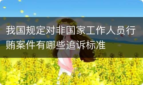 我国规定对非国家工作人员行贿案件有哪些追诉标准