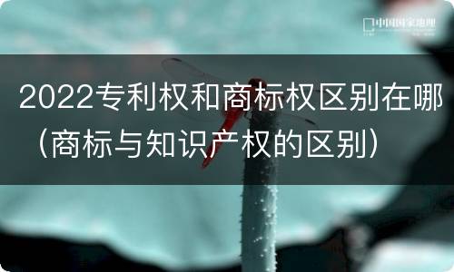 2022专利权和商标权区别在哪（商标与知识产权的区别）