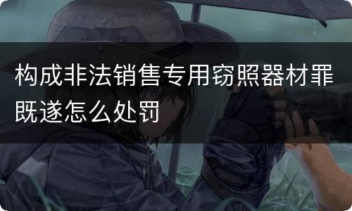构成非法销售专用窃照器材罪既遂怎么处罚