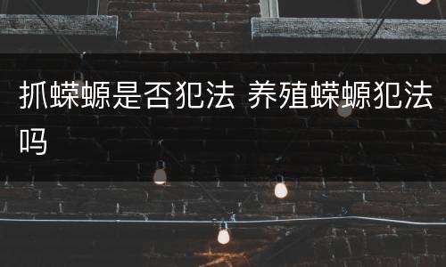 抓蝾螈是否犯法 养殖蝾螈犯法吗