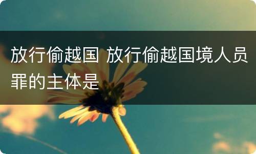 放行偷越国 放行偷越国境人员罪的主体是