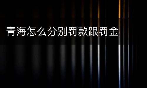 青海怎么分别罚款跟罚金