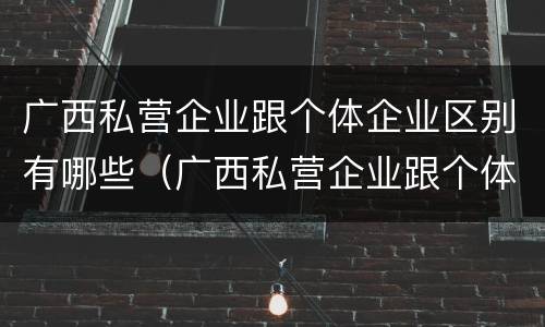 广西私营企业跟个体企业区别有哪些（广西私营企业跟个体企业区别有哪些地方）