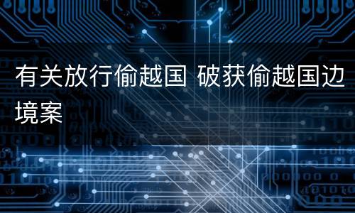 有关放行偷越国 破获偷越国边境案