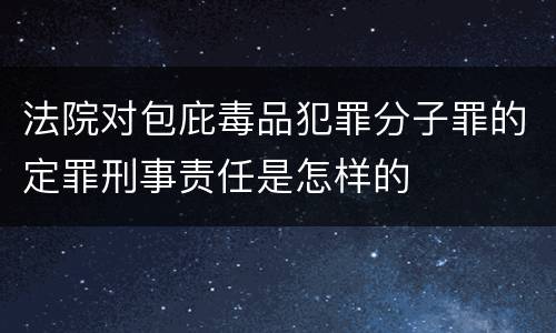 法院对包庇毒品犯罪分子罪的定罪刑事责任是怎样的