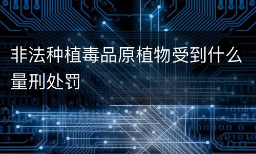 非法种植毒品原植物受到什么量刑处罚