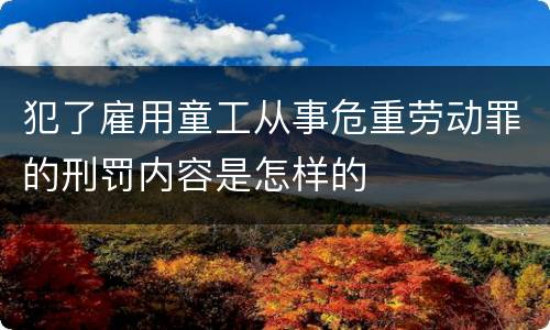 犯了雇用童工从事危重劳动罪的刑罚内容是怎样的