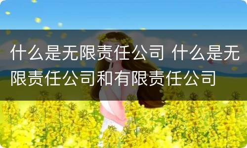 什么是无限责任公司 什么是无限责任公司和有限责任公司