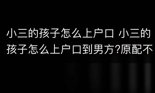 小三的孩子怎么上户口 小三的孩子怎么上户口到男方?原配不同意