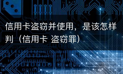 信用卡盗窃并使用，是该怎样判（信用卡 盗窃罪）